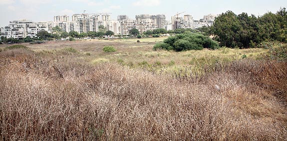 צפון מערב תל אביב / צלם: עינת לברון